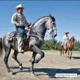 Foto de perfil de laloguzman