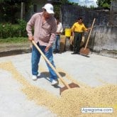 Hombres solteros en Acatlán De Pérez Figueroa